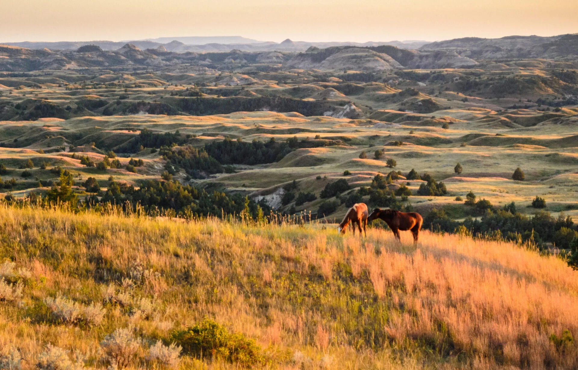 Best Car Insurance in North Dakota for December 2025