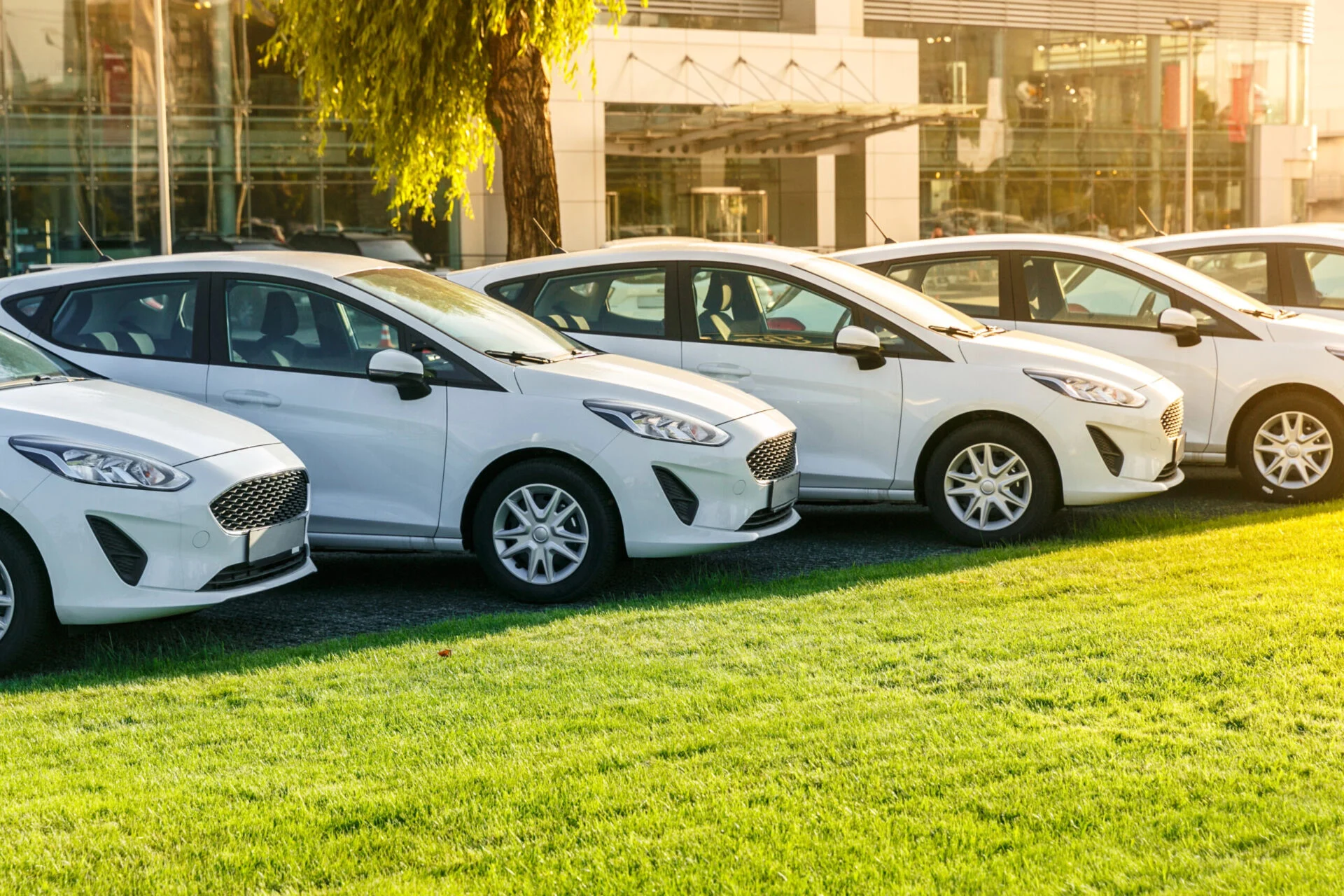 Row of new white cars at car dealership.