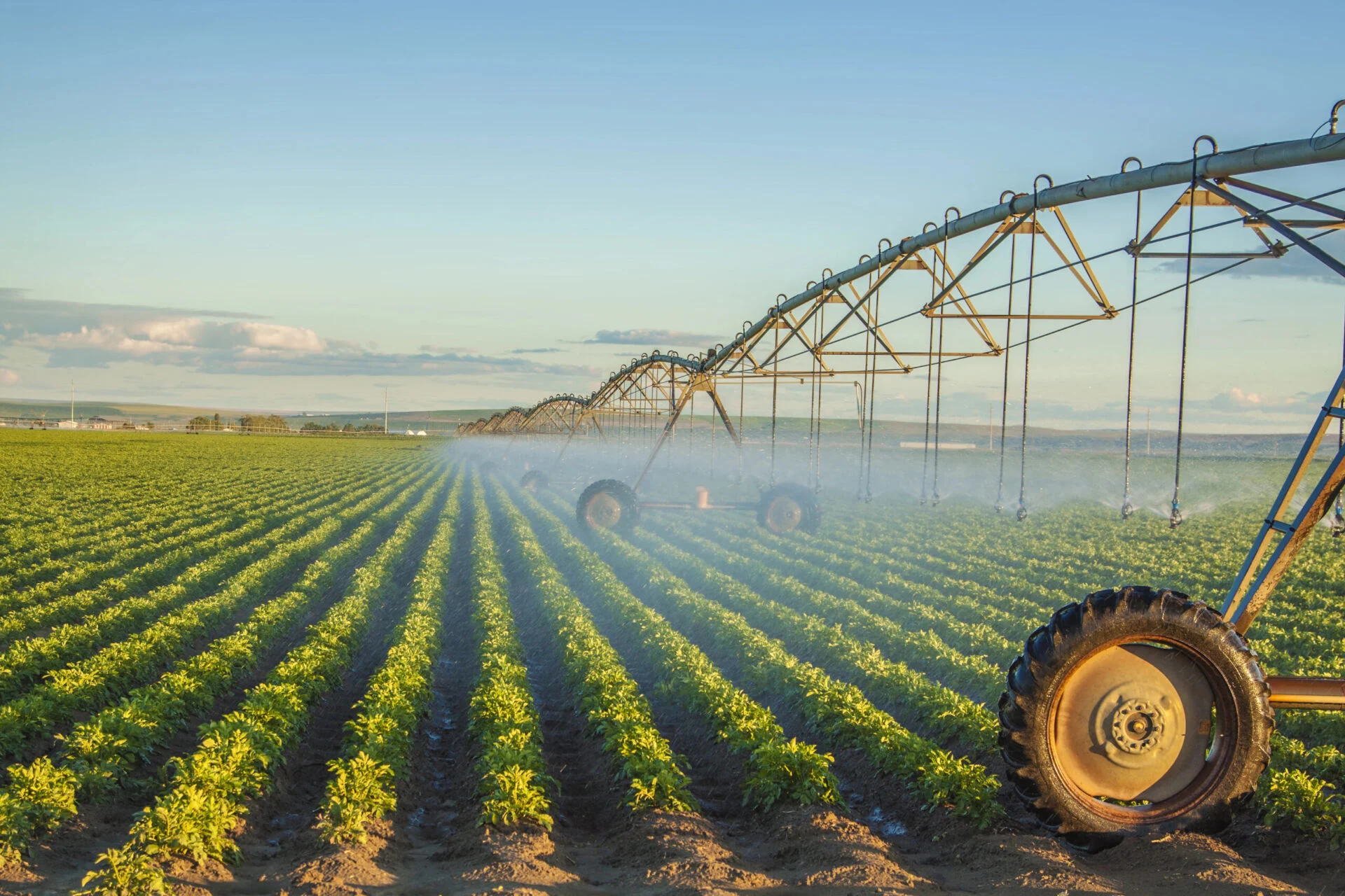 Potato field in Idaho.
