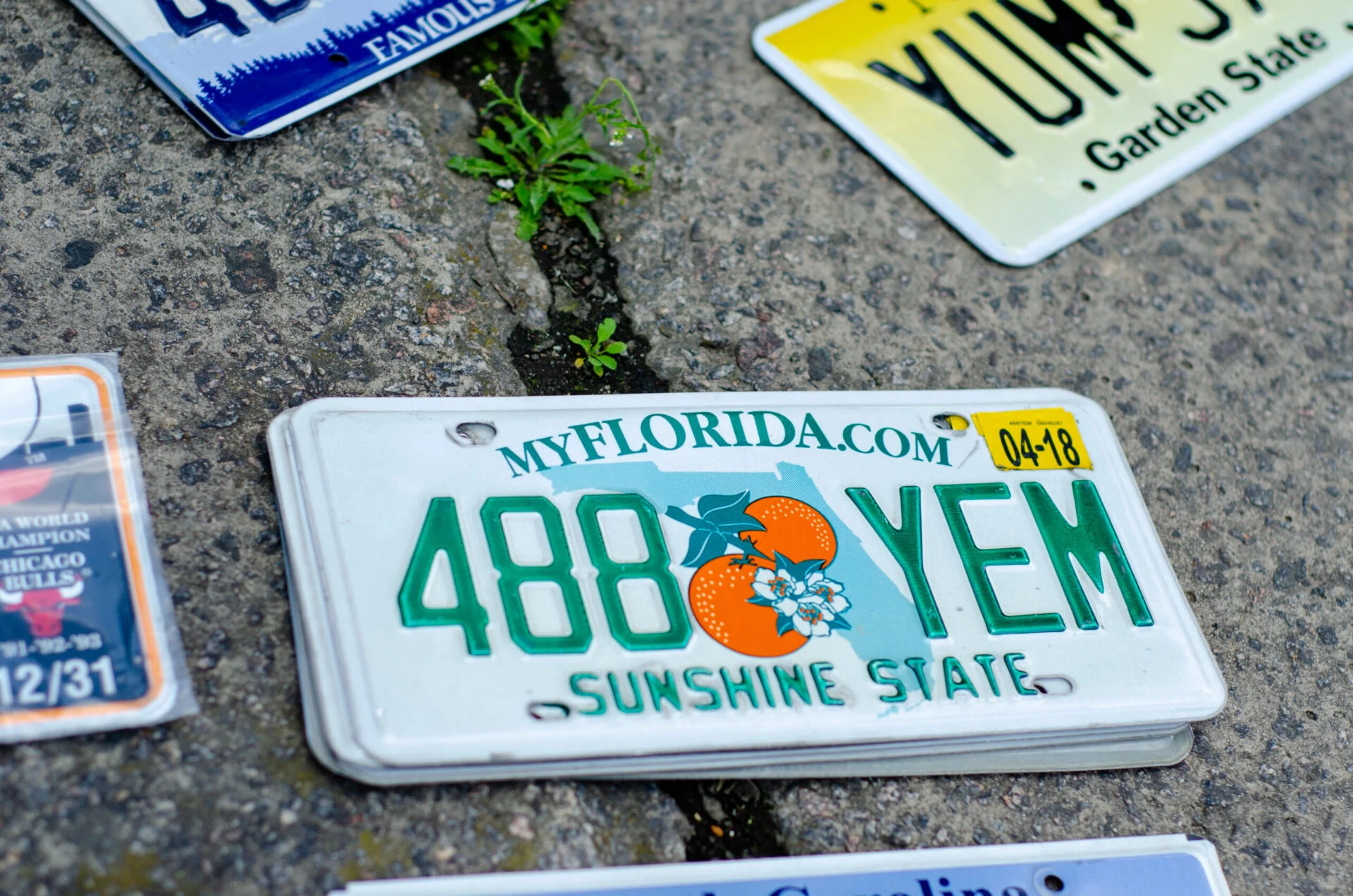 Florida license plate sitting on the ground surrounded by other plates