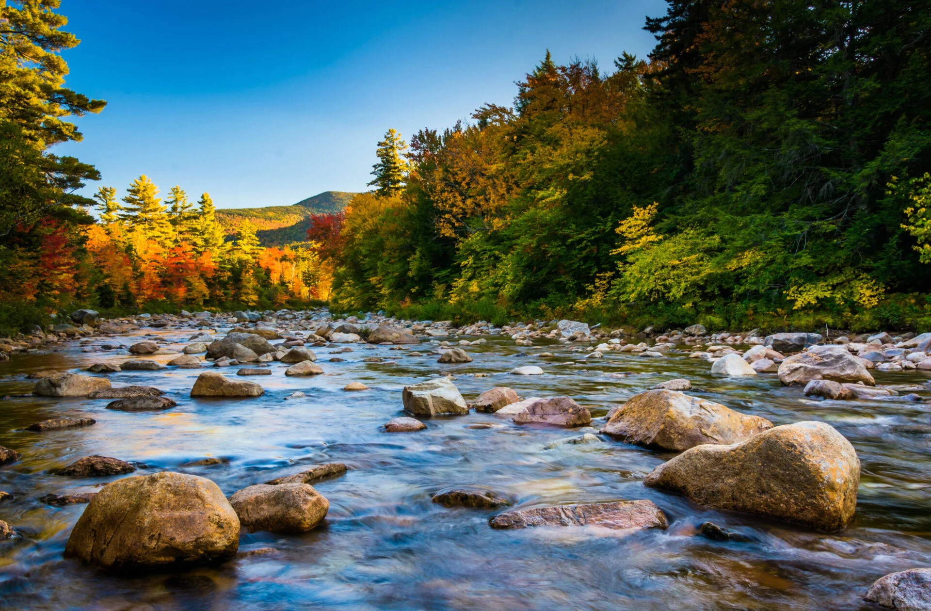 Autumn color along the Swift River, along the Kancamagus Highway in New Hampshire