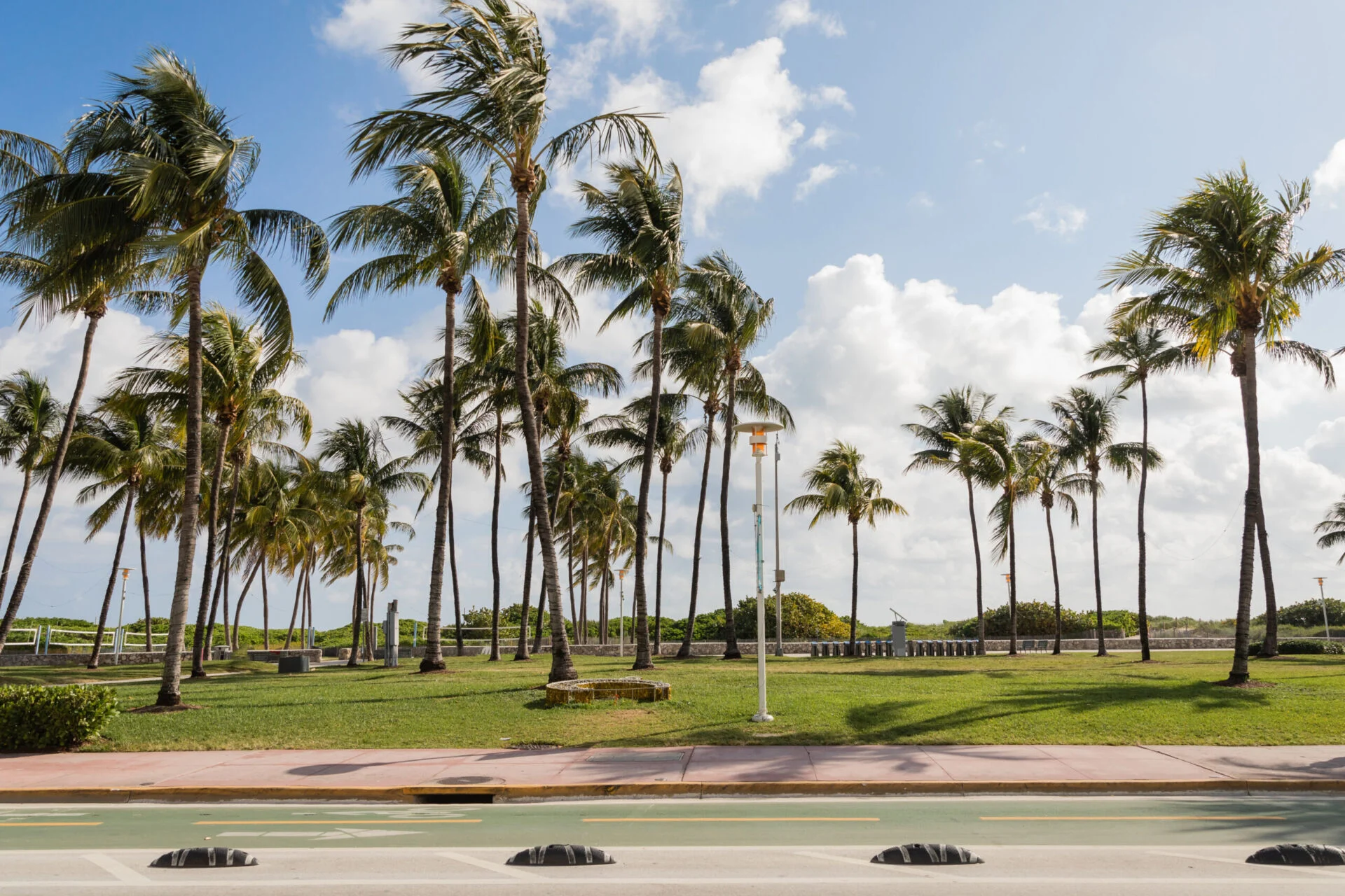 Palm trees in Florida along an empty road